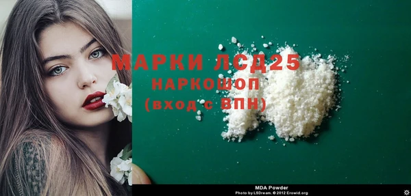 прущие грибы Надым
