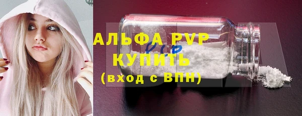 прущие грибы Надым