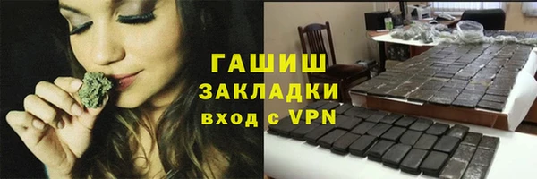 прущие грибы Надым