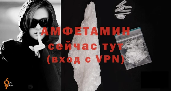 прущие грибы Надым