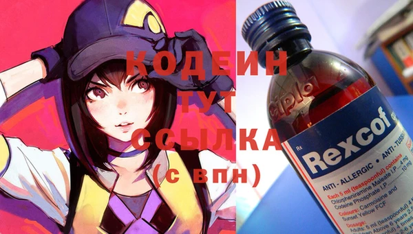 прущие грибы Надым
