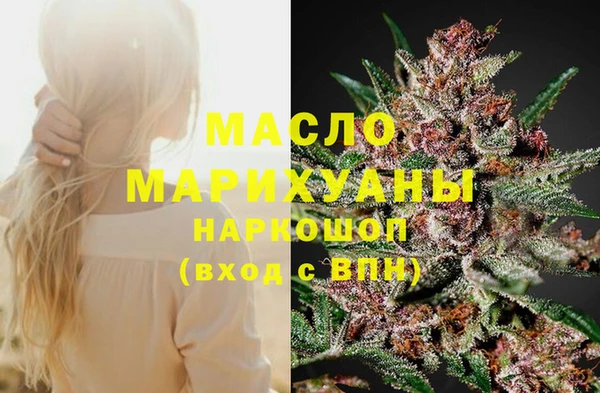 прущие грибы Надым