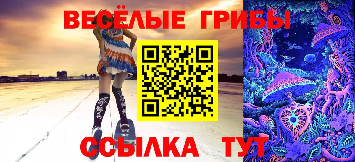 Галлюциногенные грибы Cubensis  Галлюциногенные грибы мицелий  Омск 