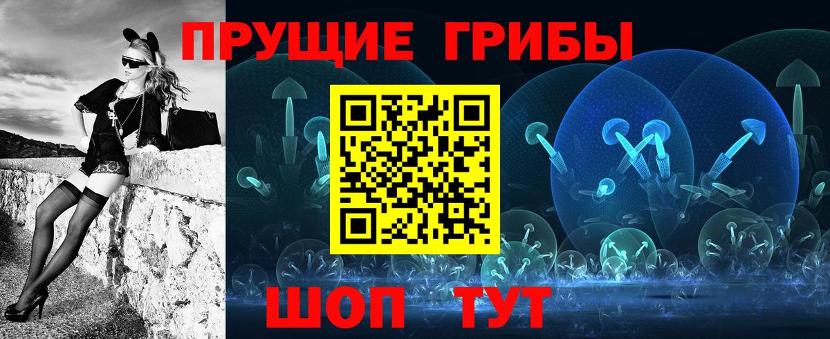 купить  сайты  Галлюциногенные грибы Cubensis  Вход с VPN  Омск 